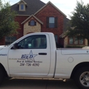 Big D Pest & Termite Services - Pest Control Services