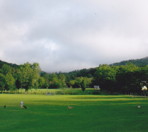 Spring Valley Farm Dog Care - Pisgah Forest, NC