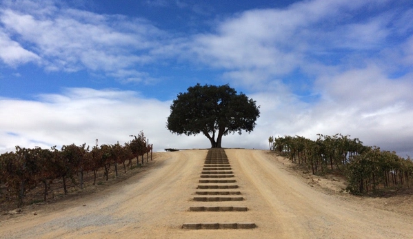 Pear Valley Vineyard Inc - Paso Robles, CA