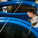 Hoopers Island Oyster Co. - Aquaculture
