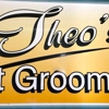 Theo's Pet Grooming & Tiny Poodles 4sale gallery