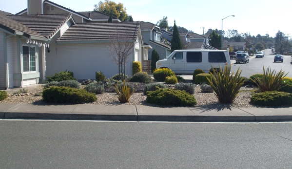 Alvarez Landscaping & Fencing