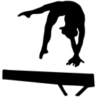 Maximum Velocity Gymnastics, Inc.