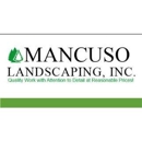 Mancuso Landscaping Inc - Landscape Contractors