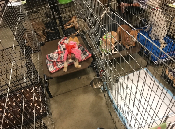 PetSmart - Lancaster, CA