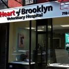 Jillian Gueli - Heart of Brooklyn Veterinary Hospital - Flatbush