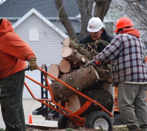 Ginkgo Landscaping And Tree Service - Joliet, IL