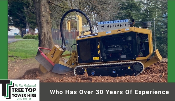 Tree Top Tower Hire - Ballarat East, VIC. Who Has Over 30 Years Of Experience