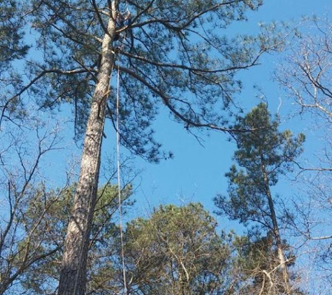 Mike's Tree Service - Bracey, VA