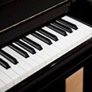 Artist Pianos / Kathy Rogillio, Consultant - Pianos & Organ-Tuning, Repair & Restoration