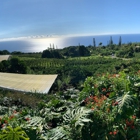 Heavenly Hawaiian Farms