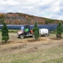 Finger Lakes Forest Management & Timber Harvesting, LLC