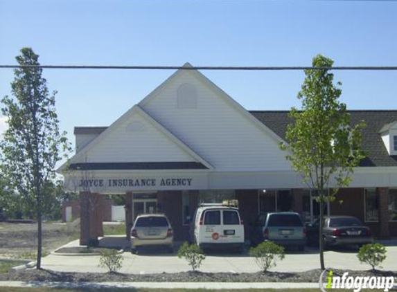 Joyce Insurance - Medina, OH