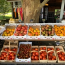 Walkers Roadside Stand - Fruit & Vegetable Markets