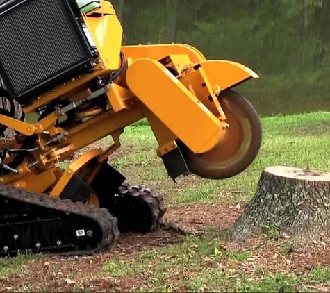 A1 Tree Specialists - Tarleton, TAS