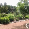 Tanglewood Forest Swimming Pool gallery