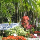 Kathy's Korner Nursery Inc - Nurseries-Plants & Trees