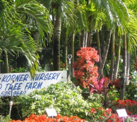 Kathy's Korner Nursery Inc - Saint Petersburg, FL