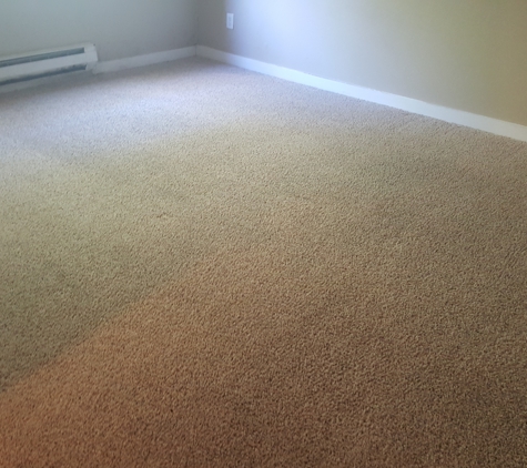 Affordable Carpet Cleaning - Seattle, WA