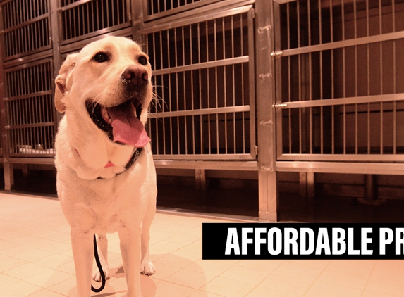 Grindelwald Kennels & Cattery - Legana, TAS. Affordable Price