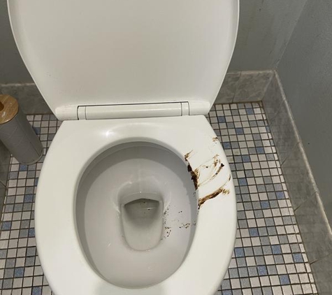 Aussie Duo Cleaning Service - Queanbeyan, NSW. Someone of our toilet was looks like that very dirty. The cleaner has great job