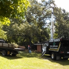 Broken Branch Tree Service LLC