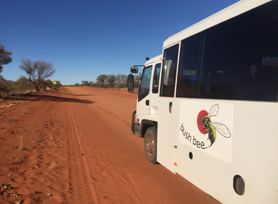 Bush Bee - Ciccone, NT