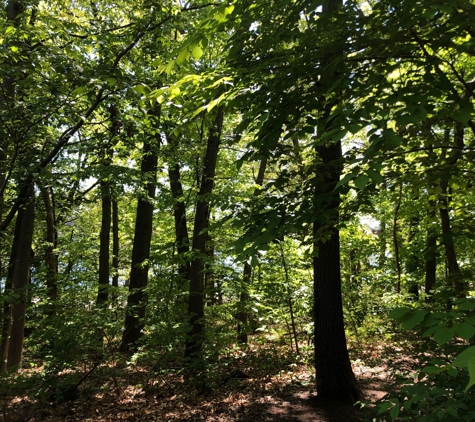 Blackstone Park - Providence, RI