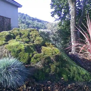 Inscapes Landscaping - Rohnert Park, CA