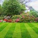 Veteran Landscape & Lawn Care - Landscape Designers & Consultants