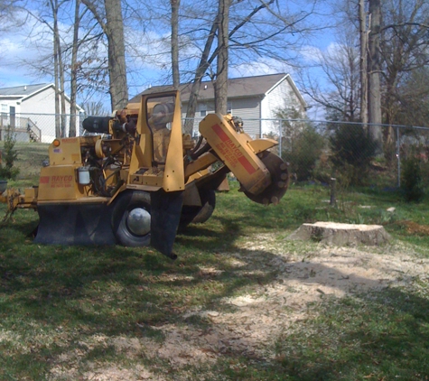 Central Tree Service - Burlington, NC