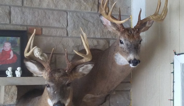 Quiles Taxidermy - Staunton, IN. Great work!