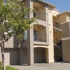 The Tides Apartments gallery