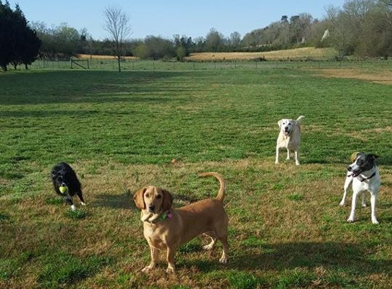 Labby Lane Kennel - Harrison, TN