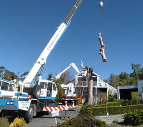 Horizon Tree Service - Brighton, TAS