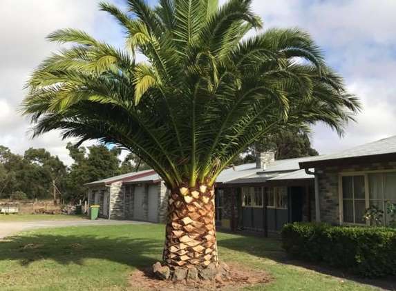 Snc Treetech - Portland, VIC