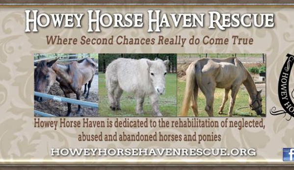 Howey Horse Haven Rescue - Howey In The Hills, FL
