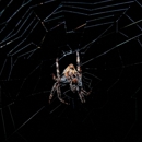 A&R Exterminating - Pest Control Equipment & Supplies