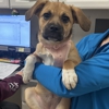 VCA Willow Mill Animal Hospital gallery