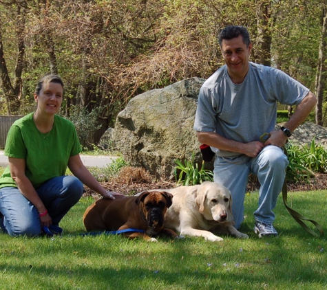 Before-N-After Dog Services - Old Saybrook, CT