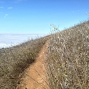 Mount Tamalpais State Park Calif. State Of - Parks