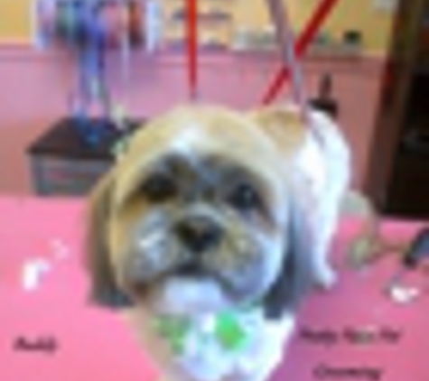 Pretty Paws Pet Grooming - Las Vegas, NV