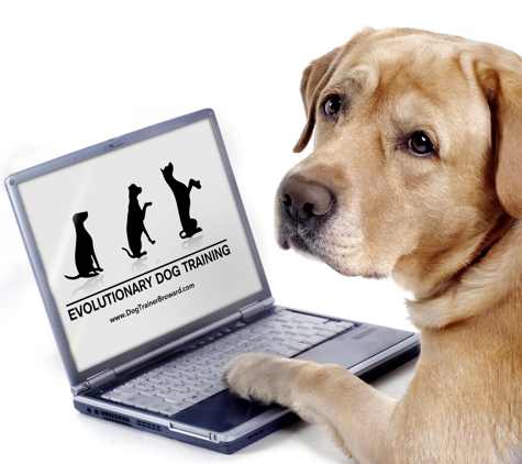 Evolutionary Dog Traning - Hollywood, FL. Find us online at dogtrainerbroward.com