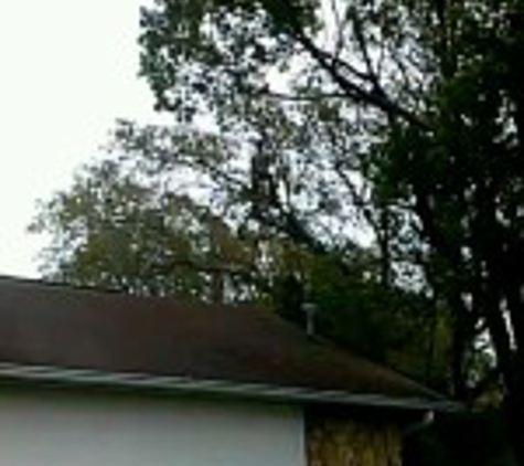 J Davis Tree Service - Brooksville, FL