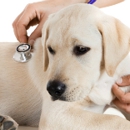 Affordable Veterinary Service - Veterinarians