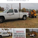 BROWNS TREE SERVICE - Tree Service