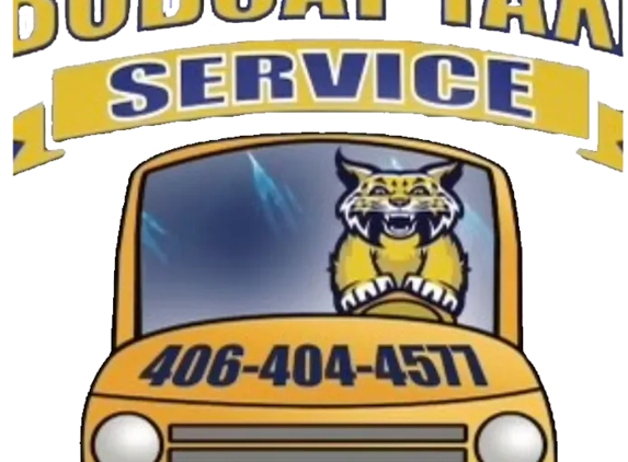 Bobcat Taxi Services