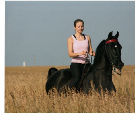 Wichita Riding Academy - Derby, KS