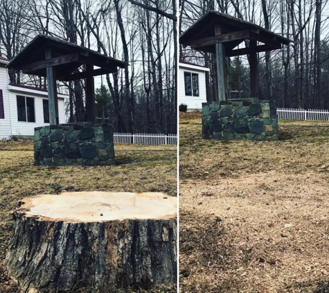 Stump Wrecker - Latham, NY. Tree Stump Sand Lake NY