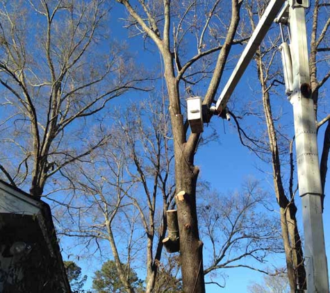 Ross Tree Service - Madison, MS